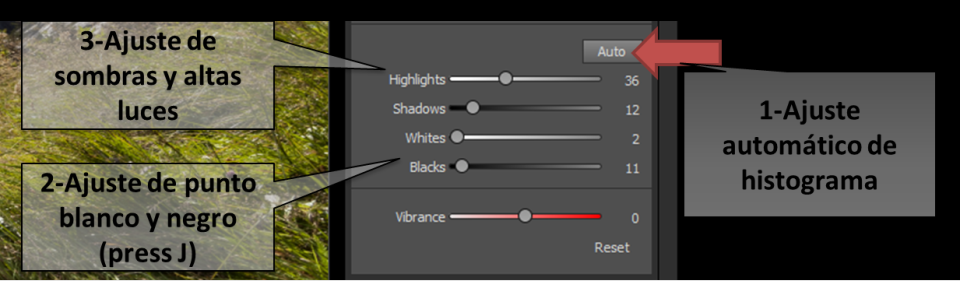 Ajuste histograma con Dynamic Contrast