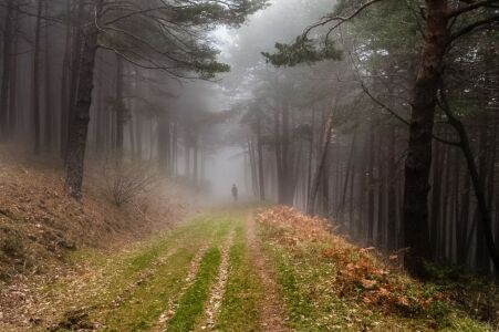 A Javier Bueno Heredia