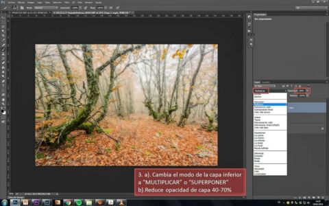 Capa Superior modo multiplicar y 50% de opacidad Tutorial efecto Orton