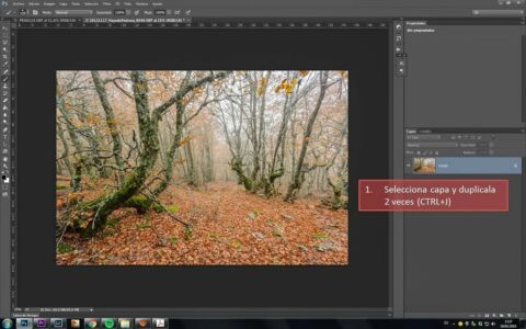 Fondo Tutorial efecto Orton