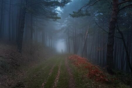 Jose Luis Sanchez Joya