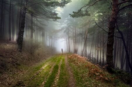 Jose Manuel Gonzalez Iglesias