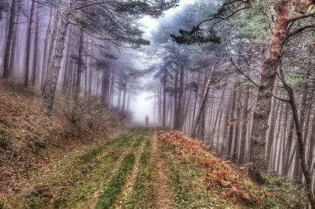 Mari Angeles López Vilanova