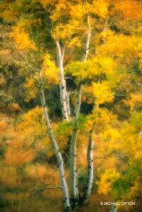 Efecto Orton tutorial efecto orton