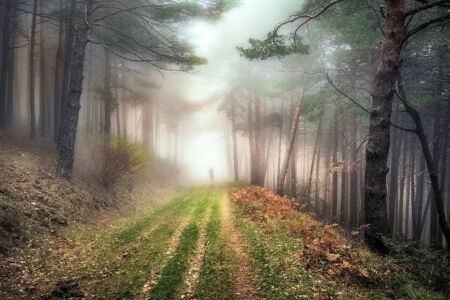 Miguel Perez er Juli