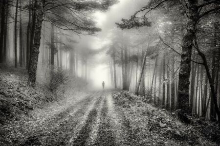 Miguel Perez er Juli