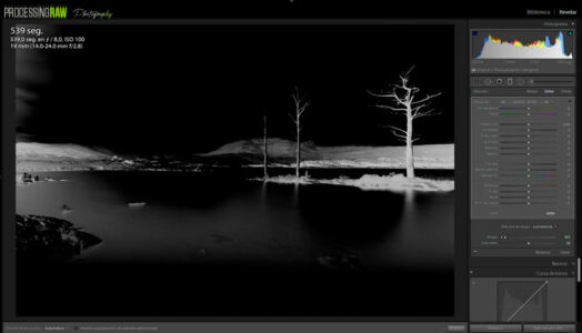 Sombras seleccionadas